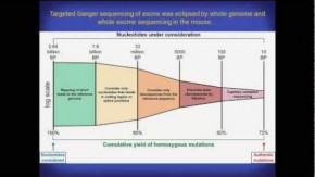 /sites/default/files/styles/listing_image/public/A%20presentation%20slide%20with%20a%20chart%20titled%20%22Targeted%20Sanger%20sequencing%20of%20exons%20was%20eclipsed%20by%20whole%20genome%20and%20whole%20exome%20sequencing%20in%20the%20mouse.%22?itok=vlUPWmJE