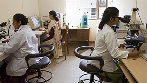 Scientists in a lap looking into microscopes and at computers