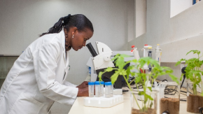 Woman looking into microscope with plants in foreground
