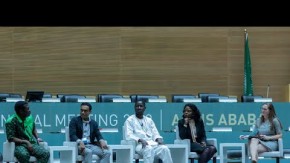 Genetically-Based Vector Control for Malaria Elimination